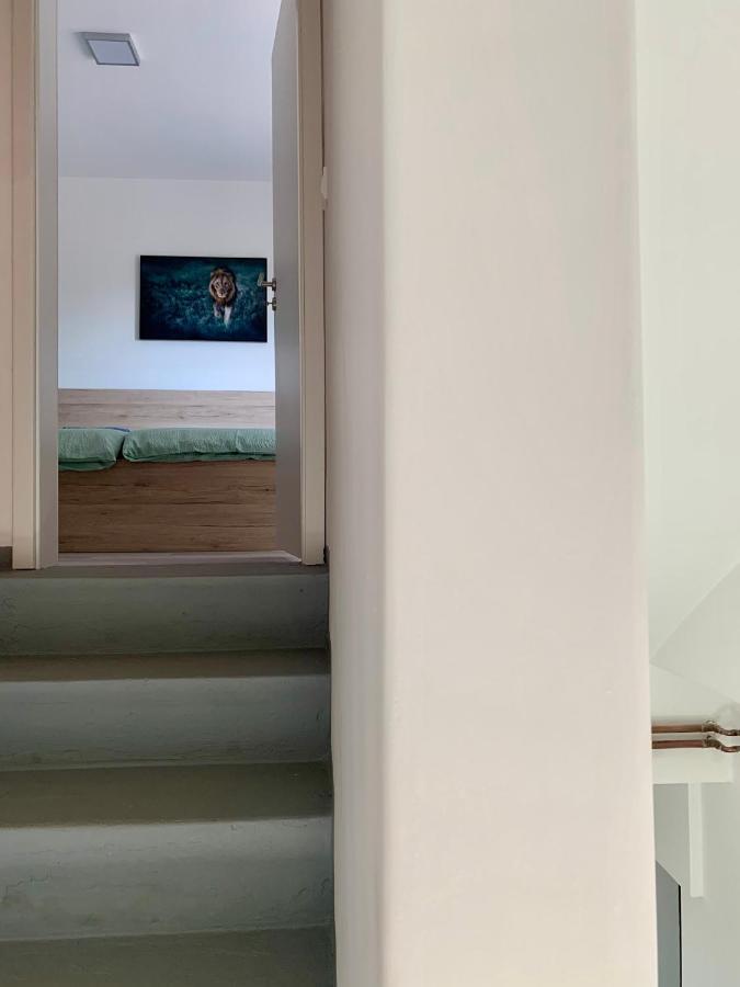 Rooms Optim Ptuj Eksteriør billede